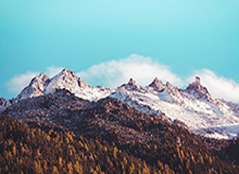 莫兰特复出献两双杰克逊24分5封盖 灰熊大胜雄鹿